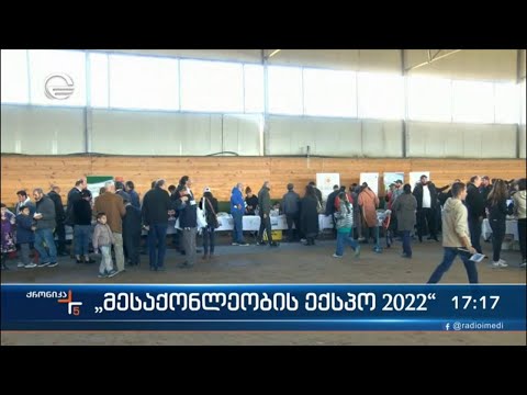 ქრონიკა 17:00 საათზე - 29 ოქტომბერი, 2022 წელი